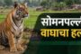 सात किलोमीटरच्या मार्गावर तब्बल १७ खड्डे..! ‼️राष्ट्रीय महामार्गावर जीवघेणा प्रवास‼️